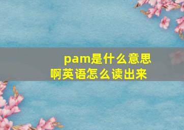 pam是什么意思啊英语怎么读出来