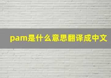 pam是什么意思翻译成中文