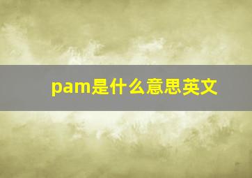 pam是什么意思英文