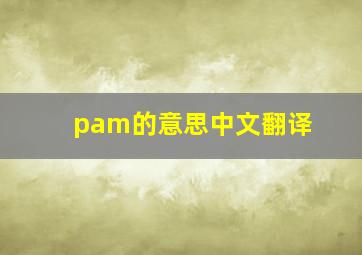 pam的意思中文翻译