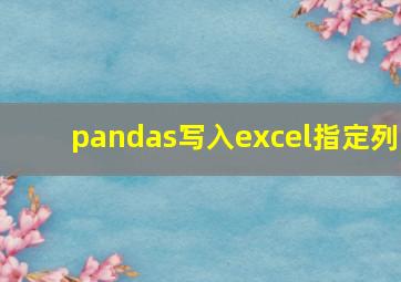 pandas写入excel指定列