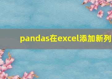 pandas在excel添加新列