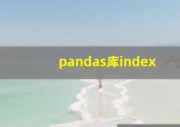 pandas库index