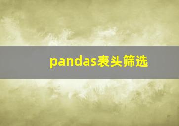 pandas表头筛选