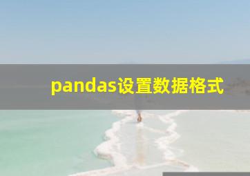 pandas设置数据格式