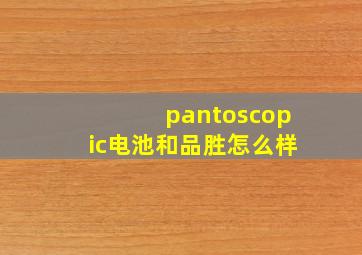 pantoscopic电池和品胜怎么样