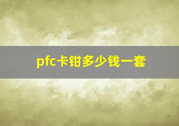 pfc卡钳多少钱一套