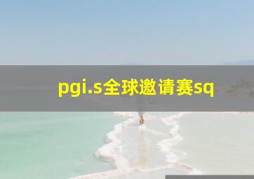 pgi.s全球邀请赛sq