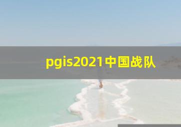 pgis2021中国战队