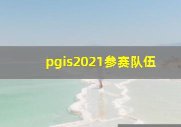 pgis2021参赛队伍