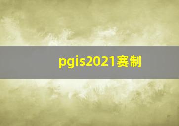 pgis2021赛制