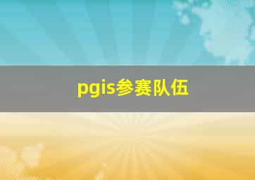 pgis参赛队伍