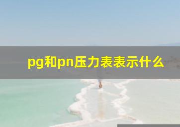 pg和pn压力表表示什么