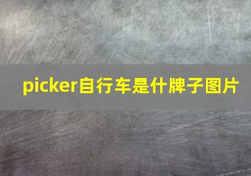 picker自行车是什牌子图片