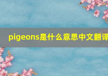 pigeons是什么意思中文翻译