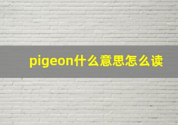 pigeon什么意思怎么读