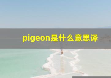 pigeon是什么意思译