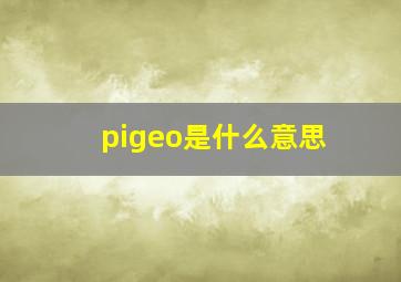 pigeo是什么意思