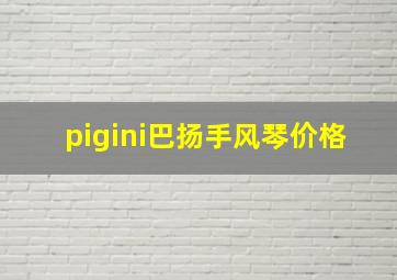 pigini巴扬手风琴价格