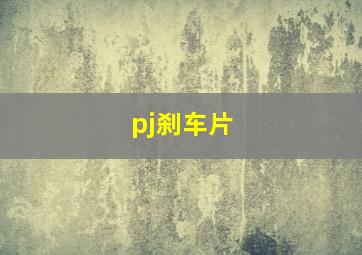 pj刹车片