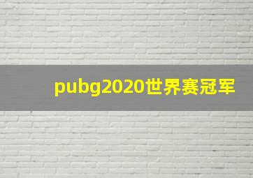 pubg2020世界赛冠军