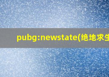 pubg:newstate(绝地求生2)