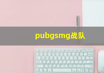 pubgsmg战队