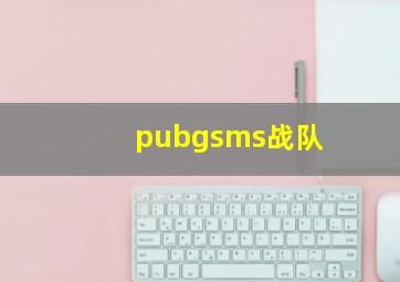 pubgsms战队