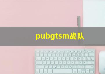 pubgtsm战队