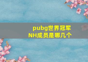 pubg世界冠军NH成员是哪几个