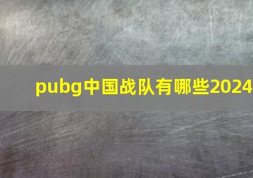 pubg中国战队有哪些2024