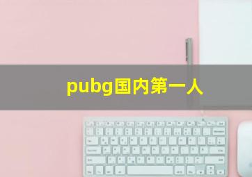 pubg国内第一人