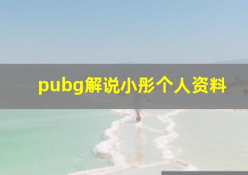 pubg解说小彤个人资料