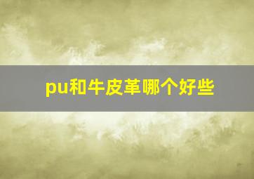 pu和牛皮革哪个好些