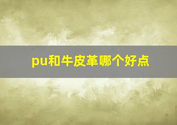 pu和牛皮革哪个好点