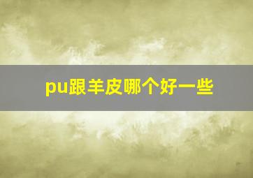 pu跟羊皮哪个好一些