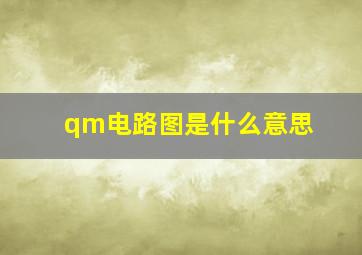 qm电路图是什么意思