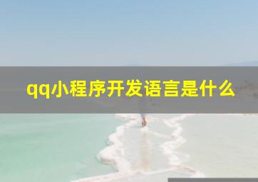 qq小程序开发语言是什么