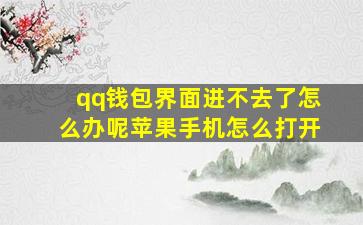 qq钱包界面进不去了怎么办呢苹果手机怎么打开