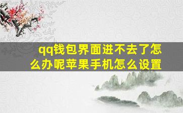 qq钱包界面进不去了怎么办呢苹果手机怎么设置