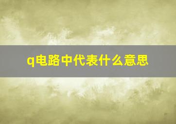 q电路中代表什么意思