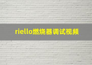 riello燃烧器调试视频