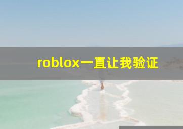 roblox一直让我验证