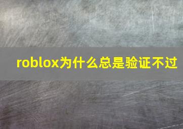 roblox为什么总是验证不过