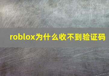 roblox为什么收不到验证码