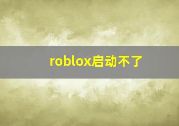 roblox启动不了