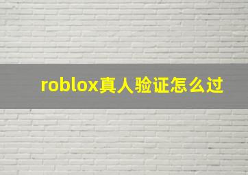 roblox真人验证怎么过