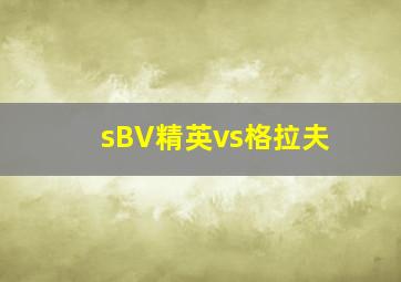 sBV精英vs格拉夫