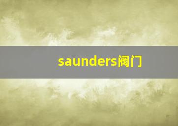 saunders阀门