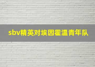 sbv精英对埃因霍温青年队